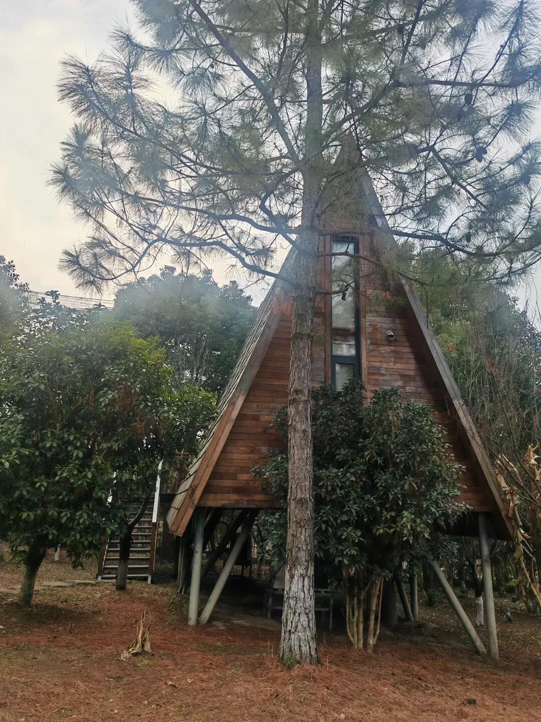 上海周边两小时旅游推荐