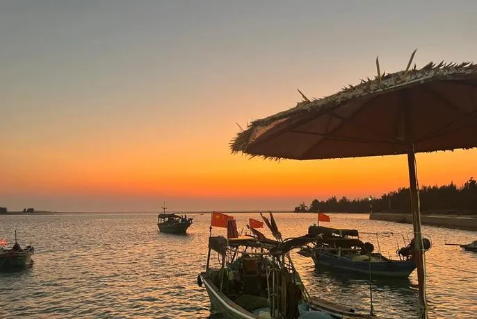 大量日本游客涌入昌江,打着旅游的幌子,不登霸王岭,不吃昌江芒果,为什么?
