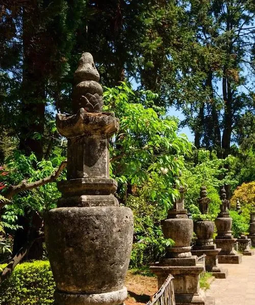 大量日本游客涌入华亭,打着旅游的幌子,不游石林,不喝苦荞茶,为什么?