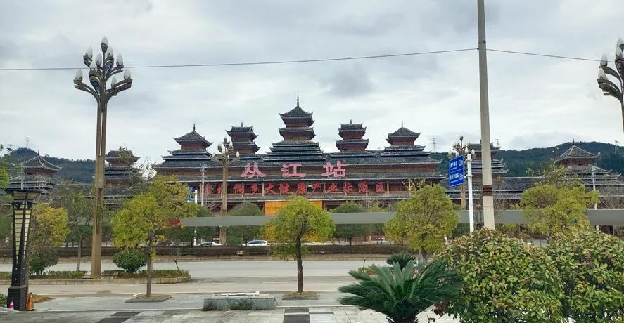 大量日本游客涌入从江,打着旅游的幌子,不游加榜梯田,不吃酸汤鱼,为什么?