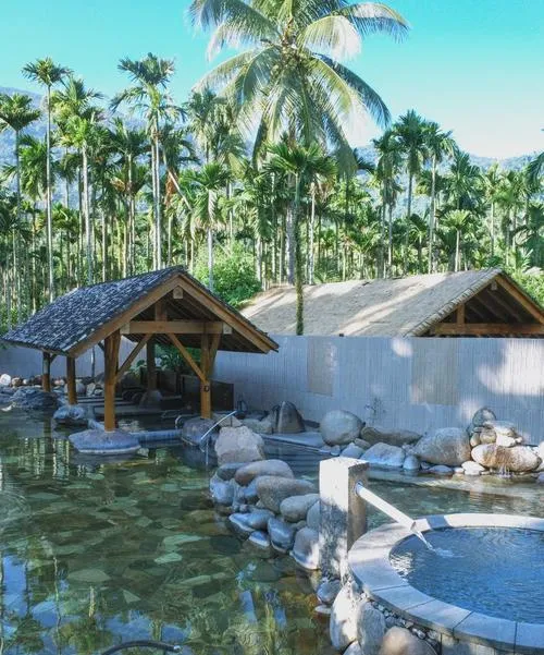 大量日本游客涌入保亭,打着旅游的幌子,不游黎族苗族园,不喝保亭茶叶,为什么?