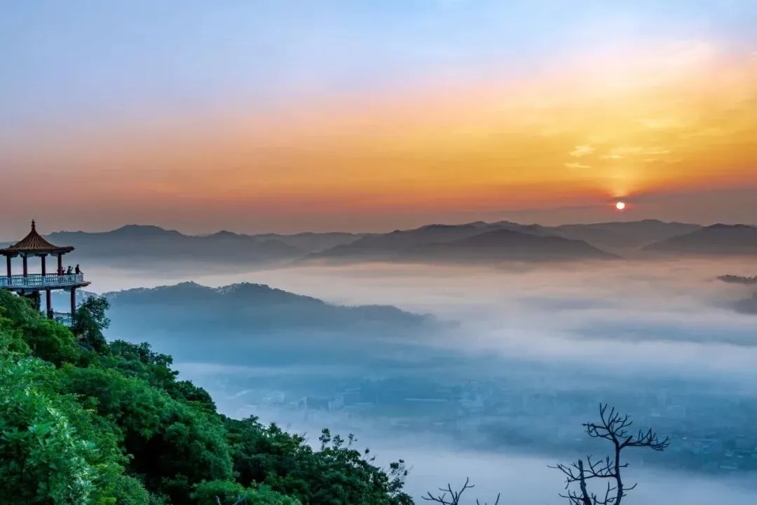 “马”上游宁洱!“左手咖啡右手茶”的春节游玩攻略→