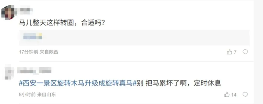 一景区现“旋转真马”,6匹马被固定并反复转圈,遭质疑“虐待动物”