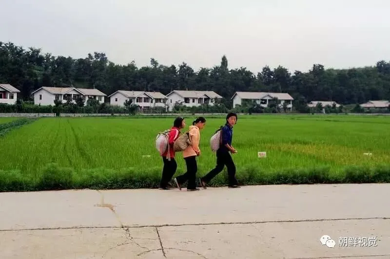 坐在旅游大巴上,观察朝鲜百姓日常生活