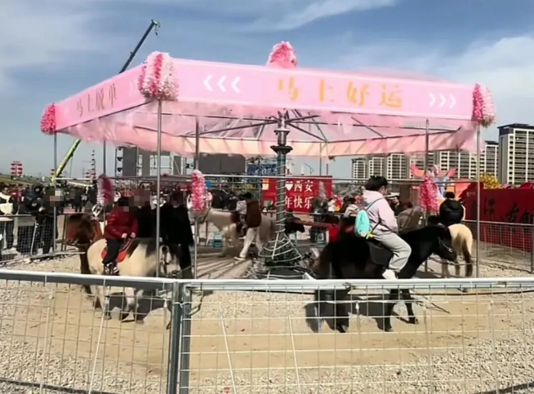 陕西西安一景区现“旋转真马”,6匹马被固定并反复转圈,遭质疑“虐待动物”;回应:速度很慢,已暂停该项目
