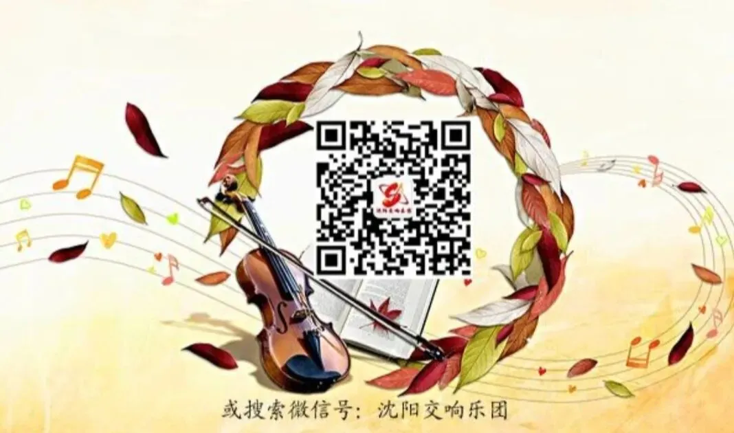 沈阳,来了就是故乡,欢迎春节来沈阳旅游.