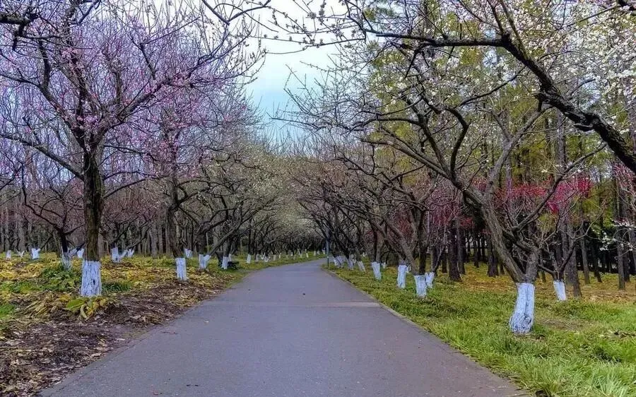 陕西与山西交界有个县,出了两个世界级景点,风景绝美不输瑞士