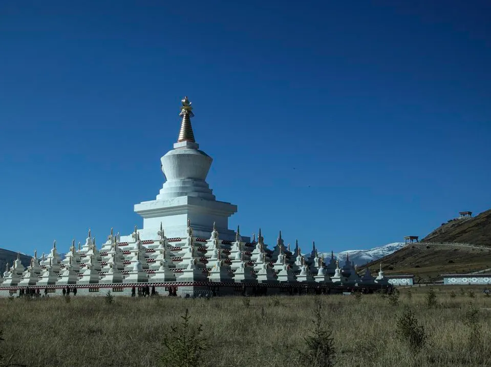 6个香港人涌入四川乐山,说是来旅游,不看乐山大佛不吃钵钵鸡,想干嘛