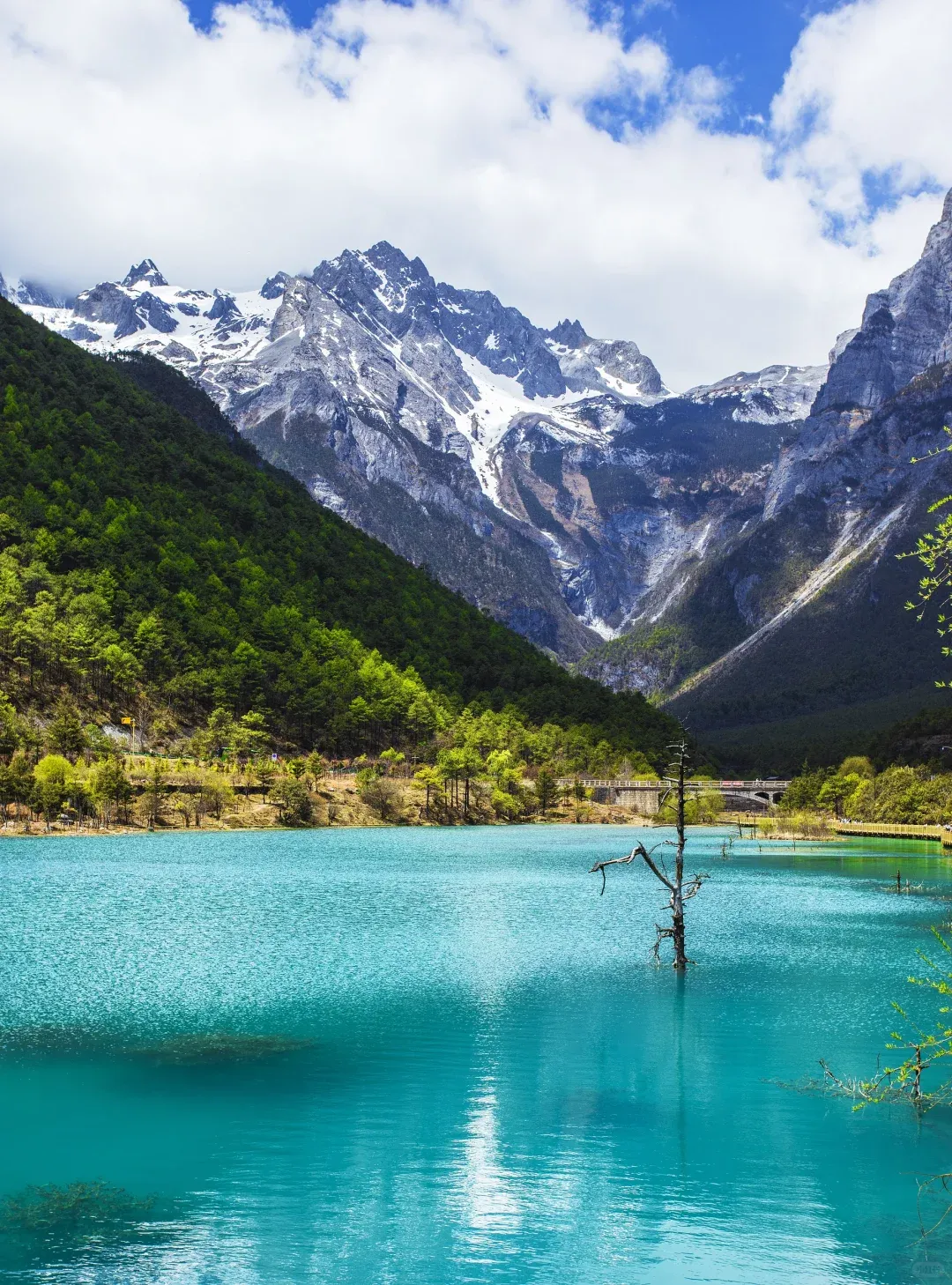 2026年云南玉龙雪山旅游,这3家优质旅行社为何备受游客青睐