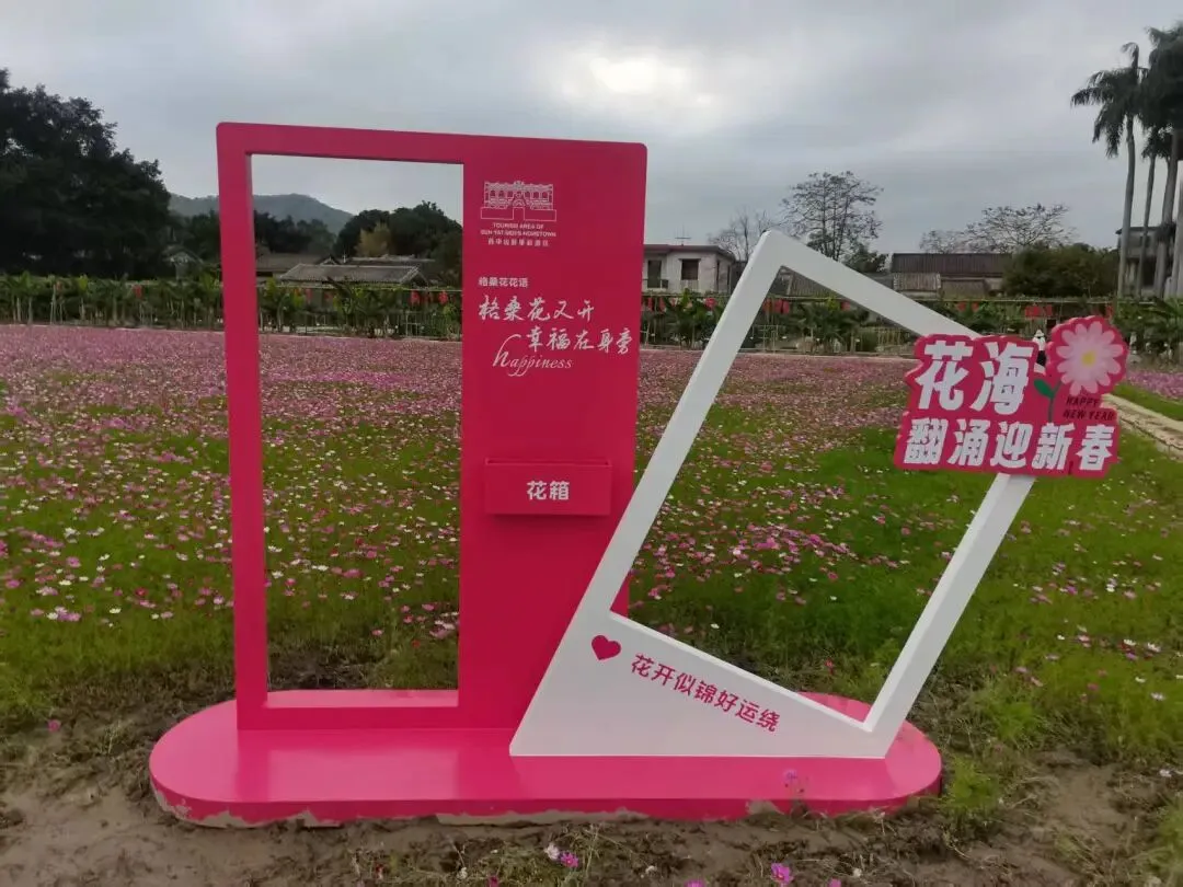 到孙中山故里旅游,偶遇一片花海(附详细坐车攻略)