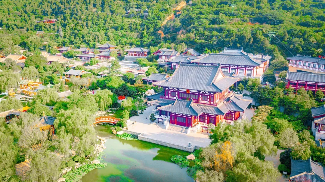 大批俄罗斯人涌入陕西西安,打着旅游的名义,不看大雁塔不逛大唐不夜城,他们到底想干啥?