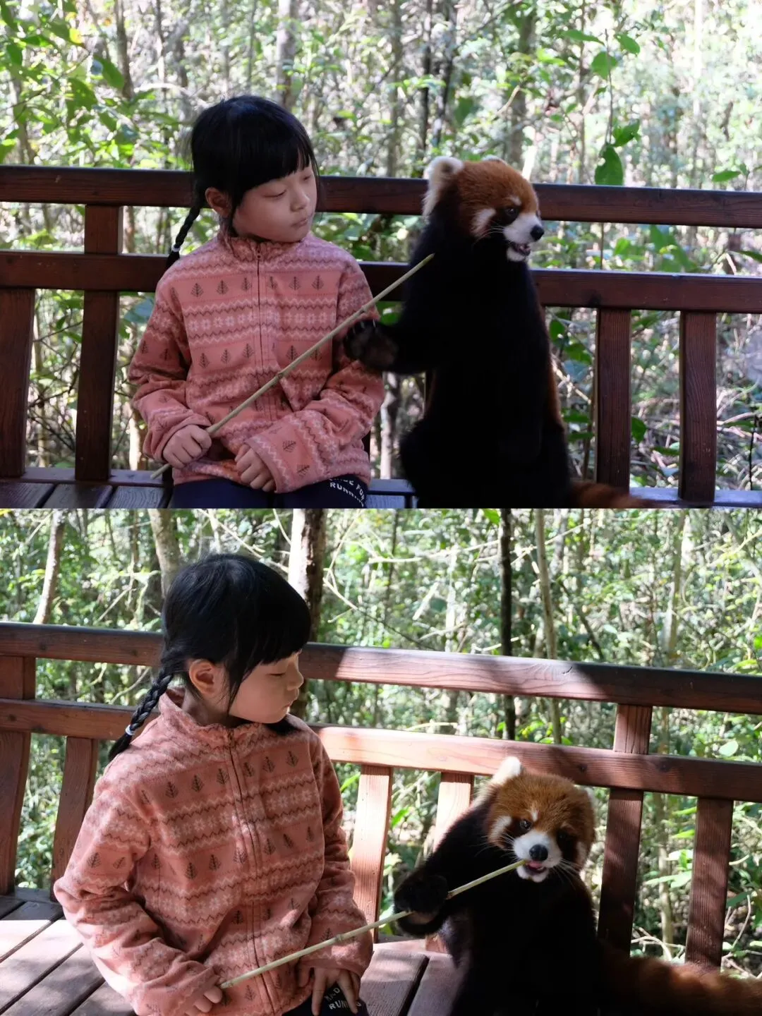 云南普洱5天4晚亲子游游记:景点推荐