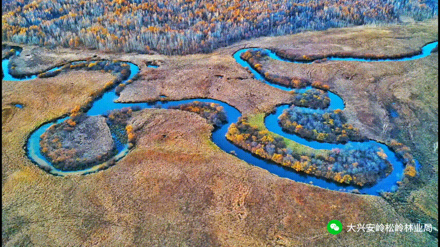 冰雪藏韵・工段芳华—环宇303景区摄影大赛投票啦!