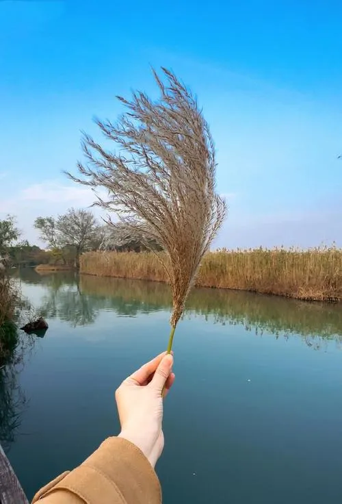 春节亲子轻松畅游六大冷门免费景区,出门不花冤枉钱,也能玩转祖国大好河山!