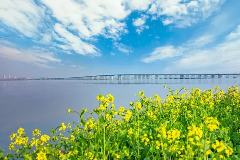 “魅力城西湖 生态新样板”旅游摄影和短视频大赛征稿启事