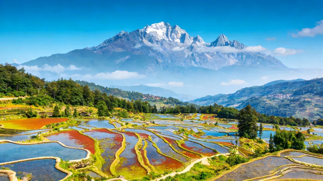 云南旅游爆款|昆明+大理+丽江6日5晚跟团游纯!玩无坑,云南小团/云南定制团随心选