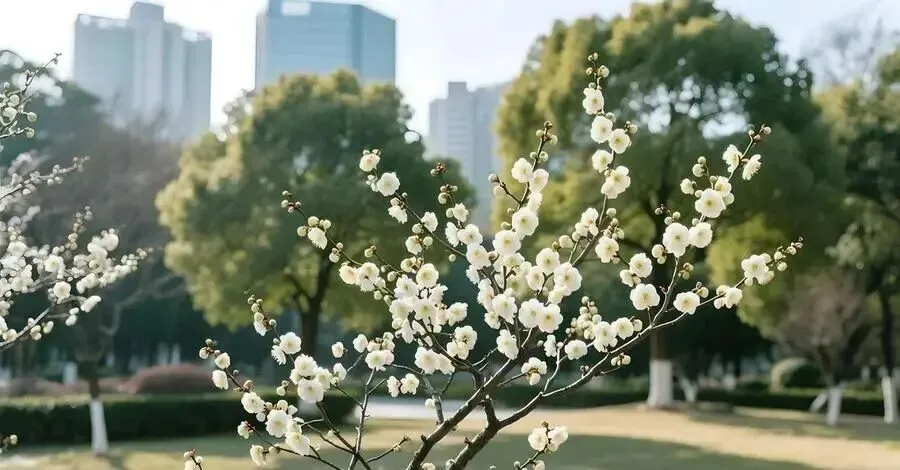 上海与江苏交界有个县,出了两个世界级景点,风景绝美不输瑞士