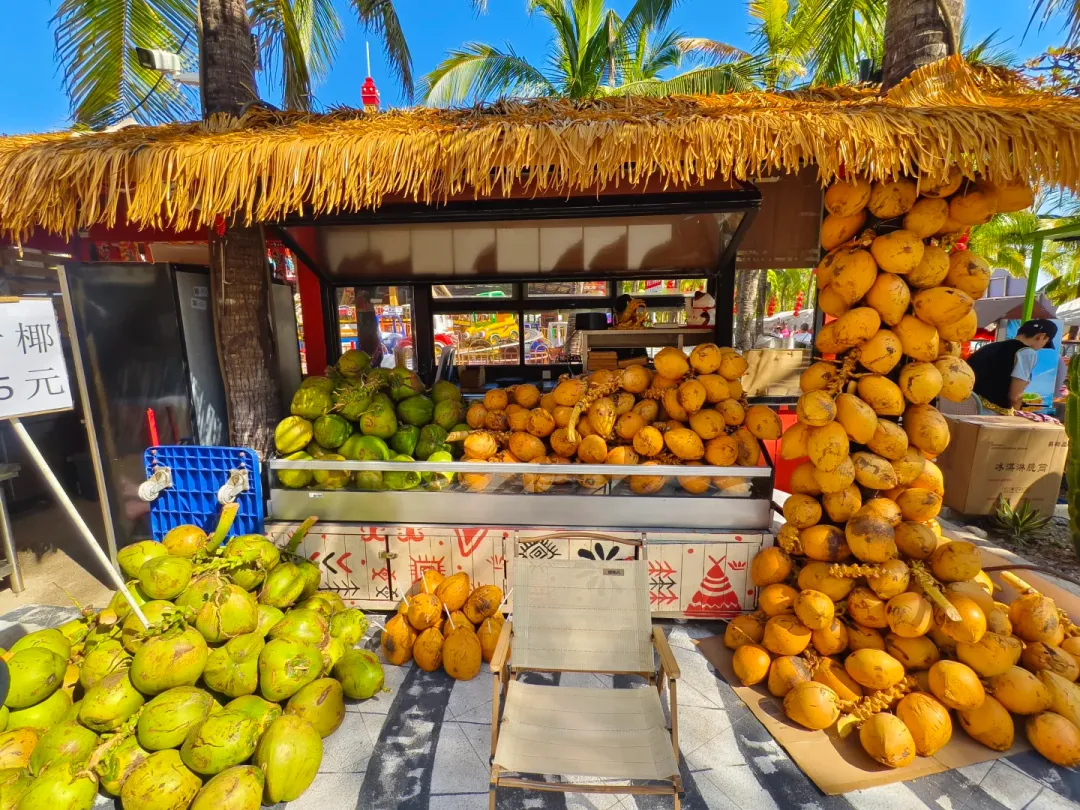 2026三亚旅游出行权威榜单|海南优质旅行社TOP10推荐