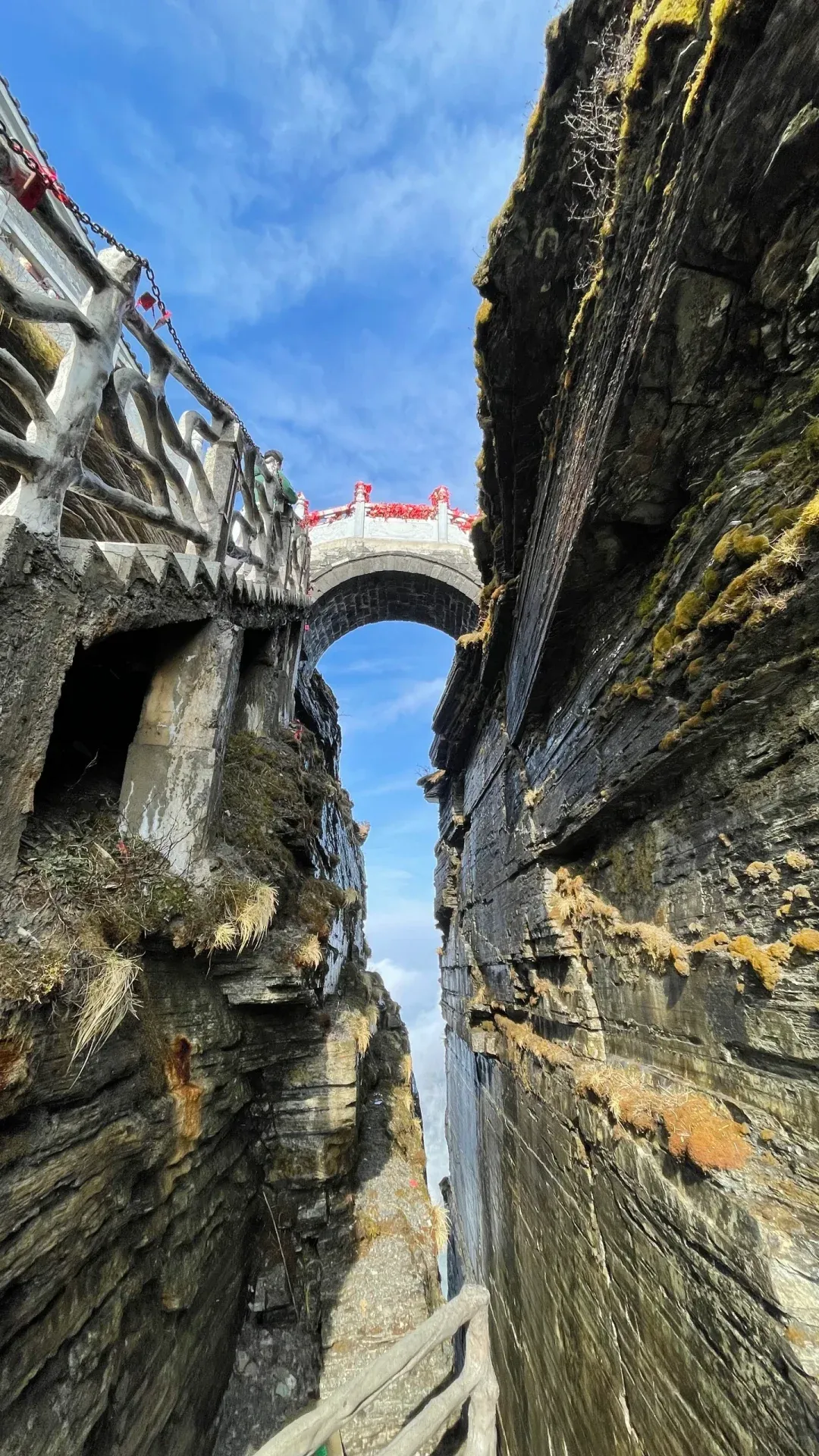 贵州铜仁狂喜!梵净山景区免费了!以前收费120元,如今敞开玩