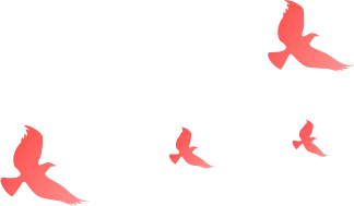 聚力巩固提升旅游服务质量 纵深推进“布喀一体化”发展——喀纳斯景区2025年工作综述