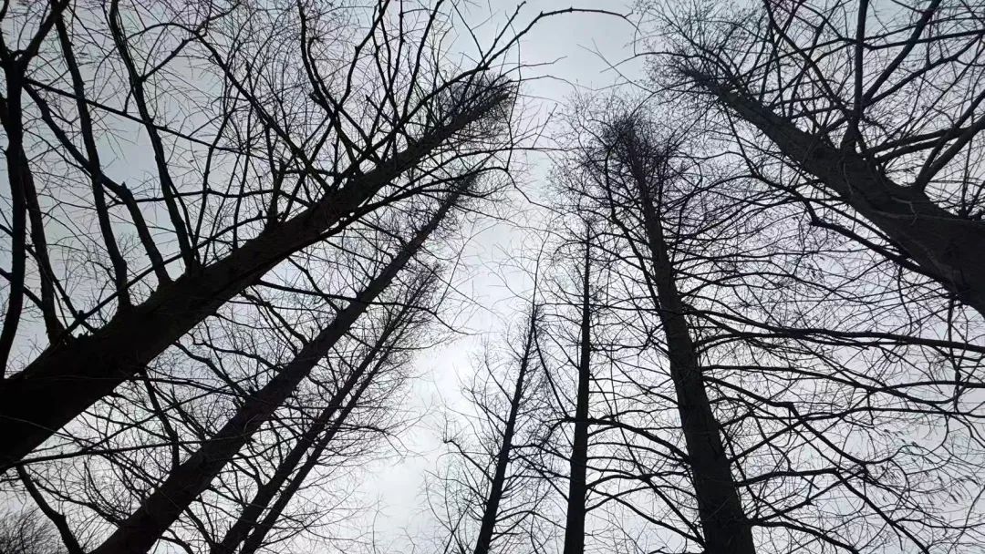 作为游客,我有权对网红景点失望吗?