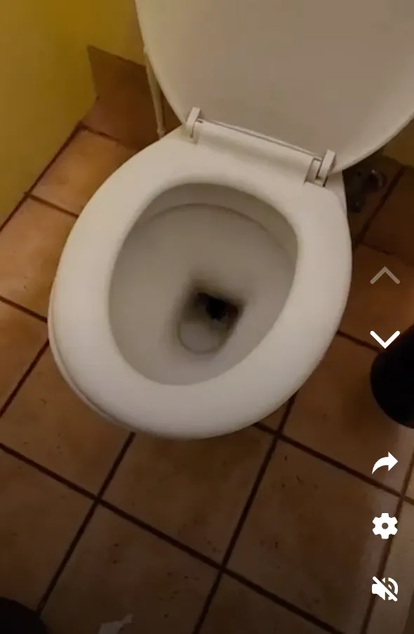 南澳景区马桶惊现巨蟒!网友:最担心的事还是发生了