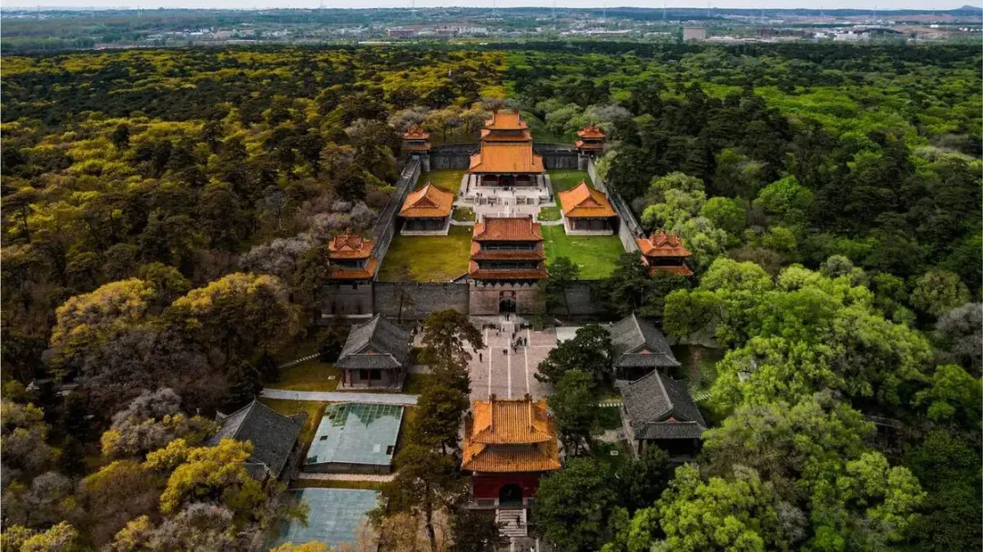 大量俄罗斯人涌入辽宁沈阳,打着旅游的名义,不访沈阳故宫不看大帅府,想干啥?