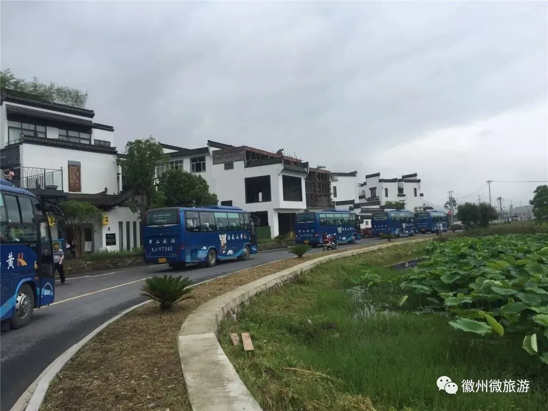 文化和旅游部会议代表考察西溪南上村民宿