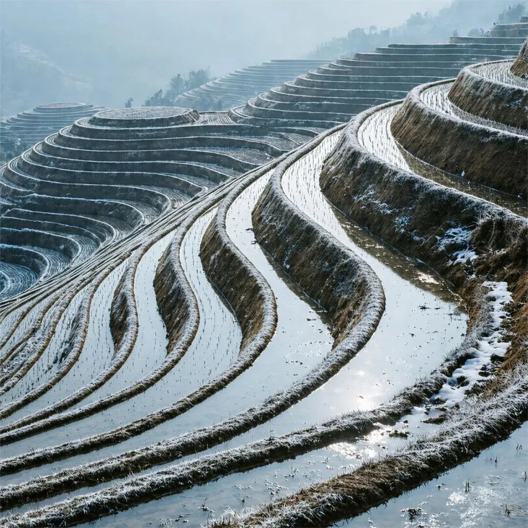 桂林龙脊梯田旅游车队预订攻略(2026)