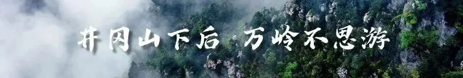 2026年井冈山春节假日旅游工作会召开