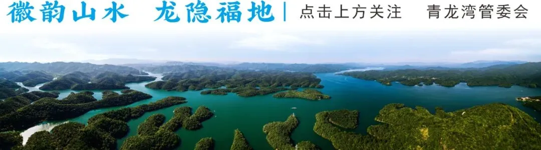 景区公告丨2026年2月16日青龙湾景区暂停营业一天