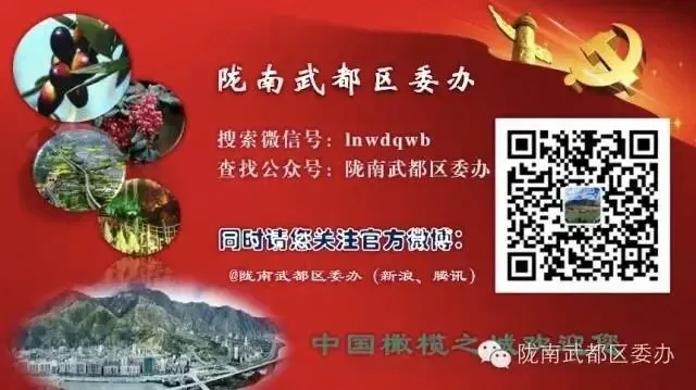 王碧云调研指导春节期间旅游服务保障工作