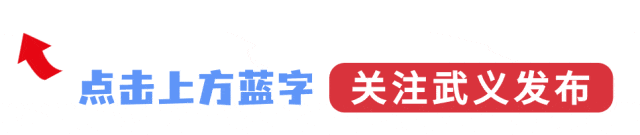 免费景区、免费停车、免费公交……武义春节期间福利来了→
