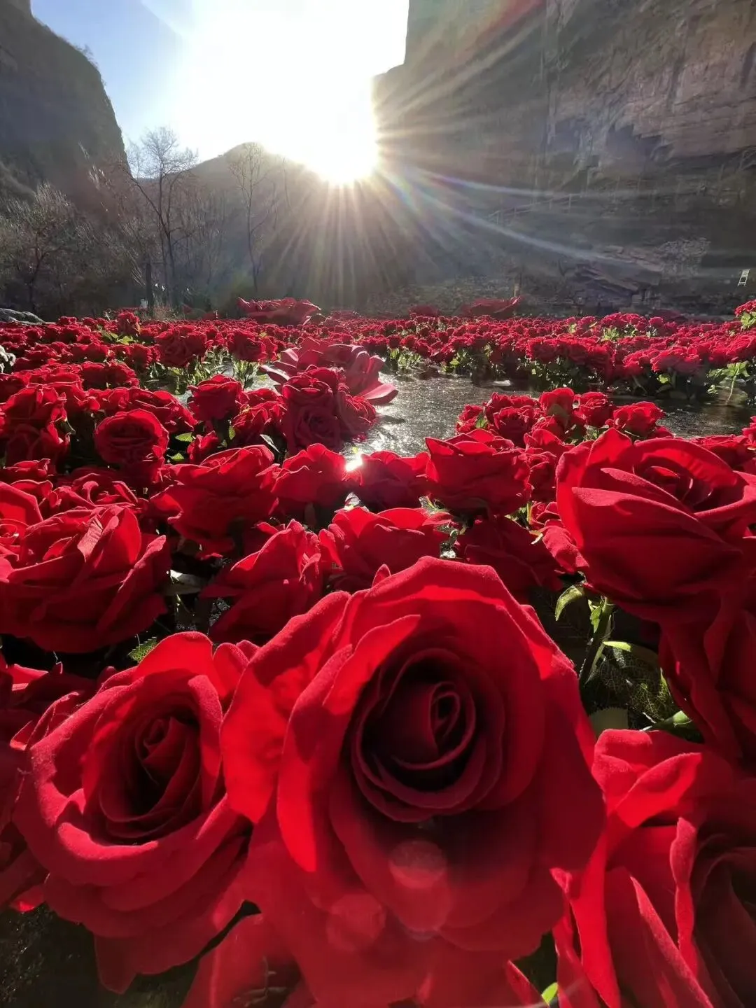 林州太行大峡谷重磅上新!春节游玩攻略来袭~