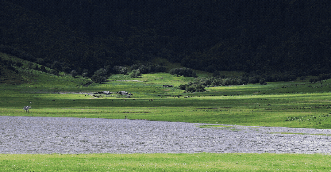 喜讯|山海遊集团旗下普者黑景区获批中央美术学院院系级校外教学(写生)基地