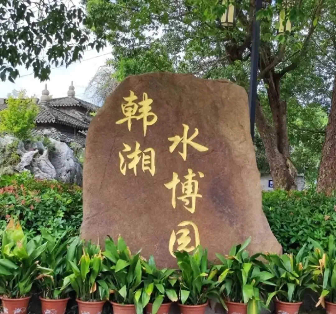 上海一3A景点火了,网友称“私藏古风打卡地”,对宠物友好,可夜游,超出片