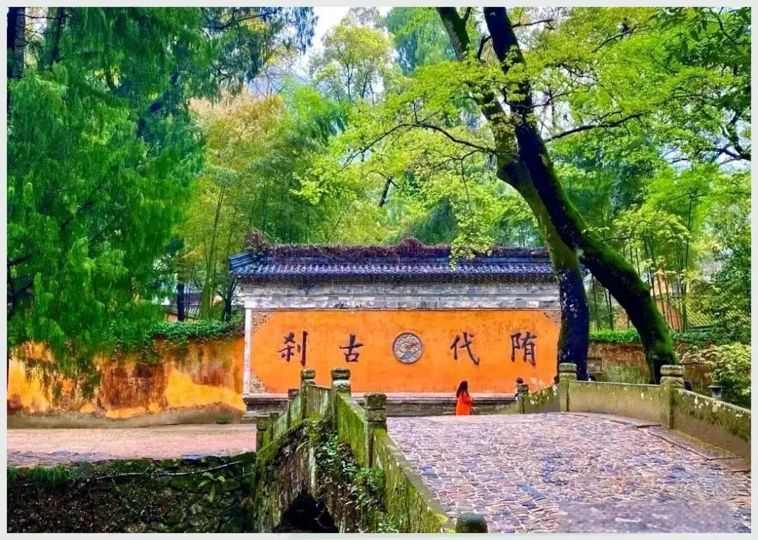 大量日本游客涌入台州,打着旅游幌子不游天台山不吃姜汤面,为什么