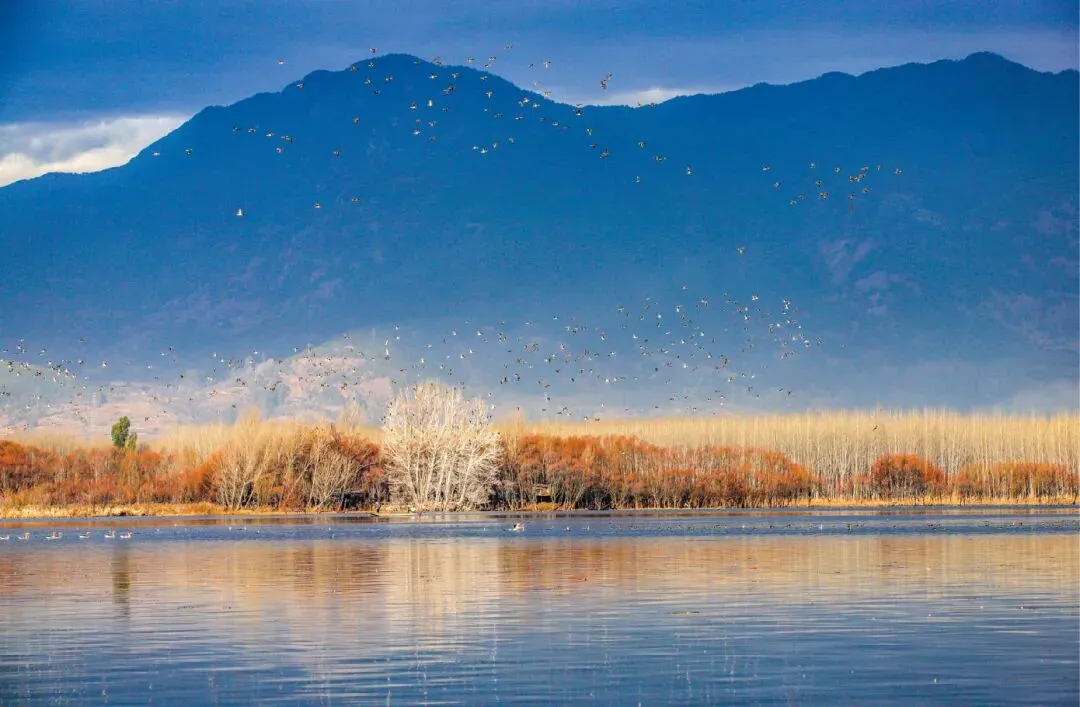 官宣内测|「剑川旅游」官方小程序上线!