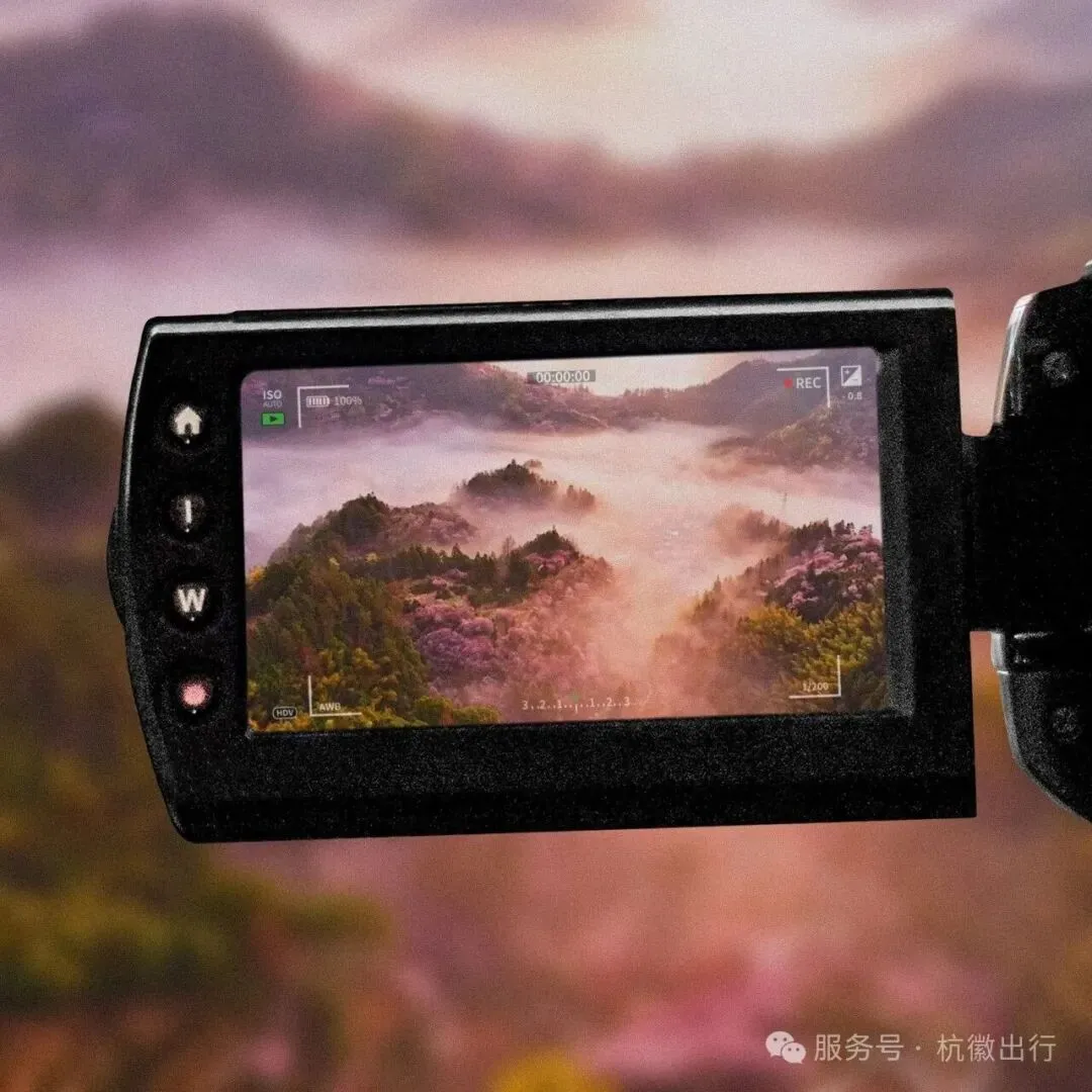 杭徽长运2026年春节旅游直通车合集|卖花渔村、黄山南大门、高铁黄山北站、徽州古城、瞻淇鱼灯…一站直达,说走就走!