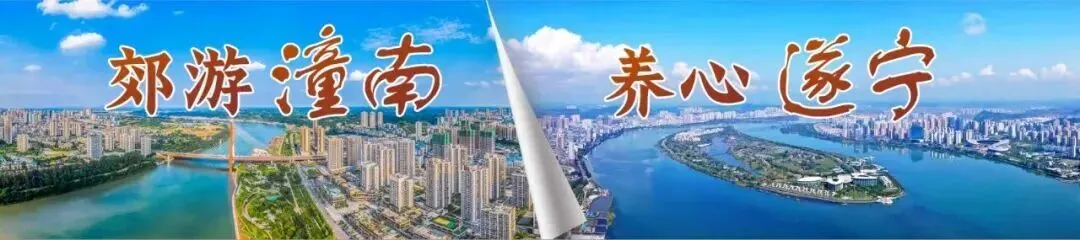 一周工作动态| 潼南区文化旅游委| 2026.2②