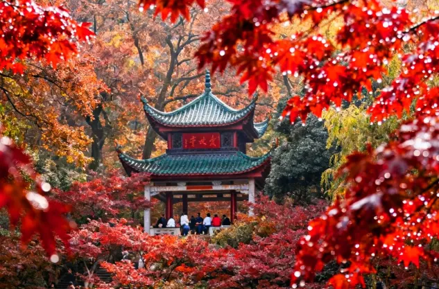 长沙小众景区深度攻略:避开人潮,解锁星城的另一面