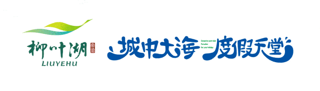 一图读懂|2026年柳叶湖旅游度假区党工委经济工作会议