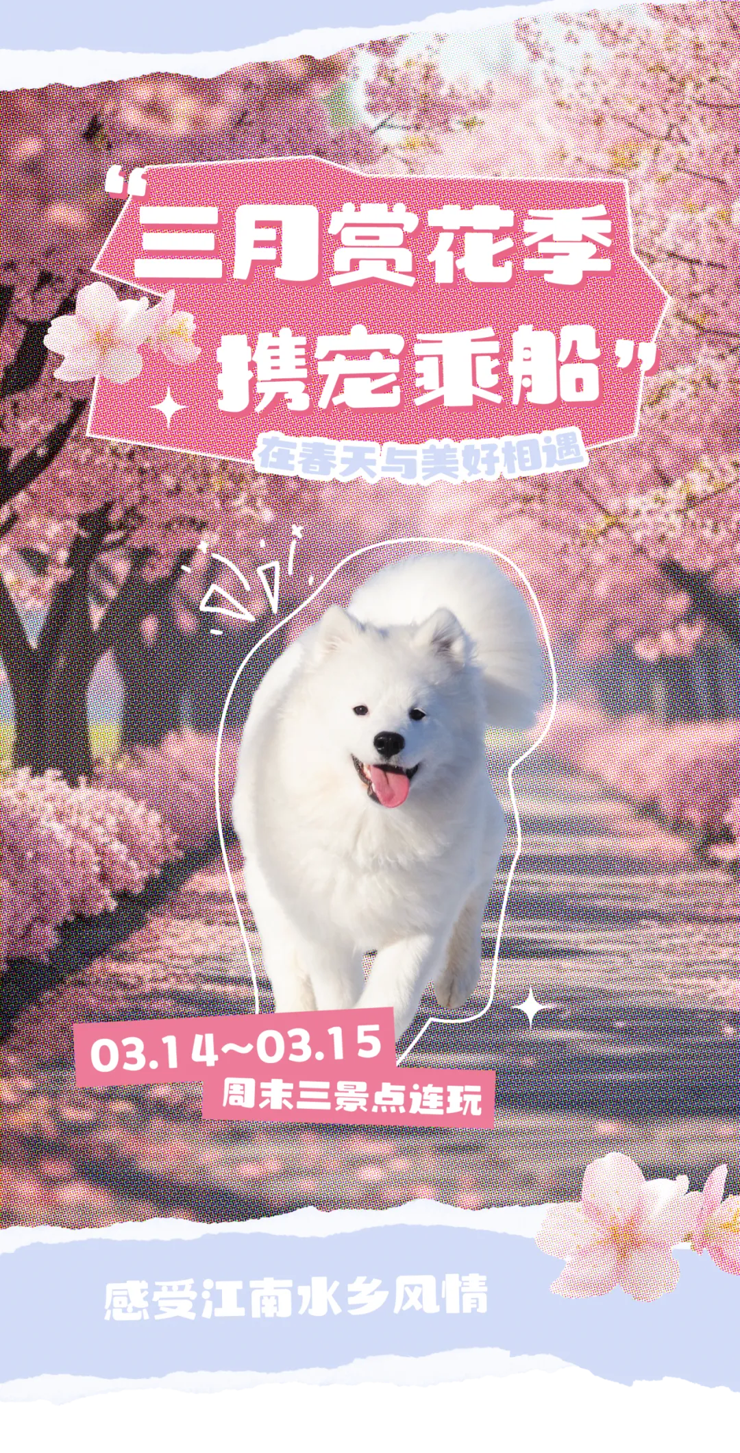 03.14-03.15|三点连玩,景区、乘船、古镇,都安排上,仅288一晚,无宠物清洁费,超棒