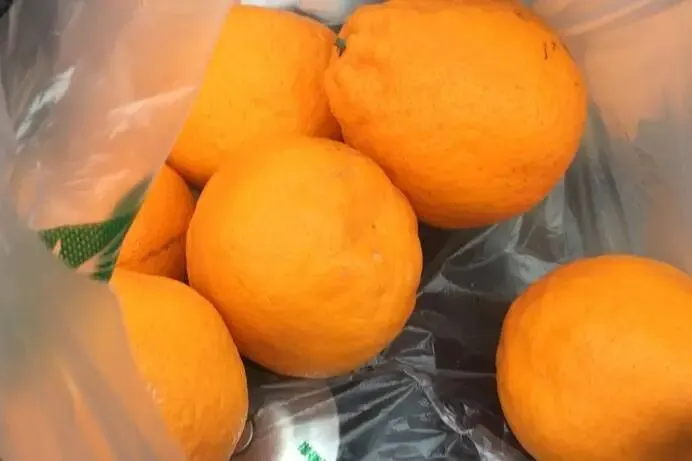 跑外卖第六天,被景区门口的城管告知下次要拖走我的摩托车