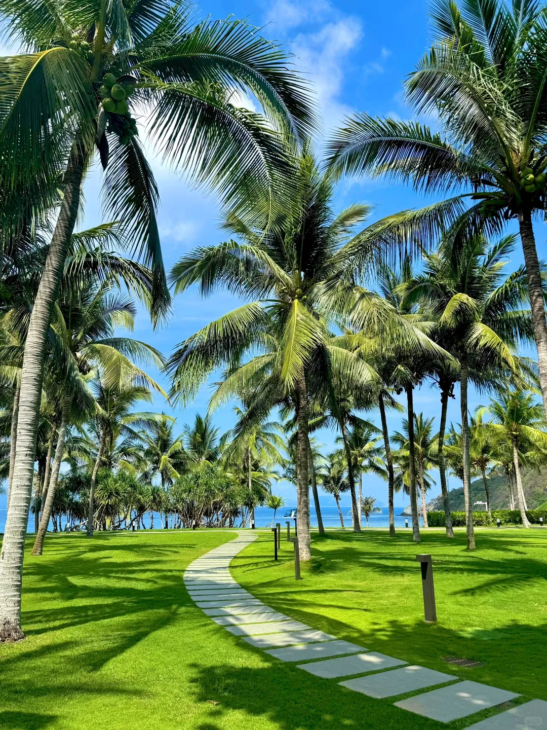 2026三亚口碑旅行社权威公示,海南旅游行业甄选优质服务商