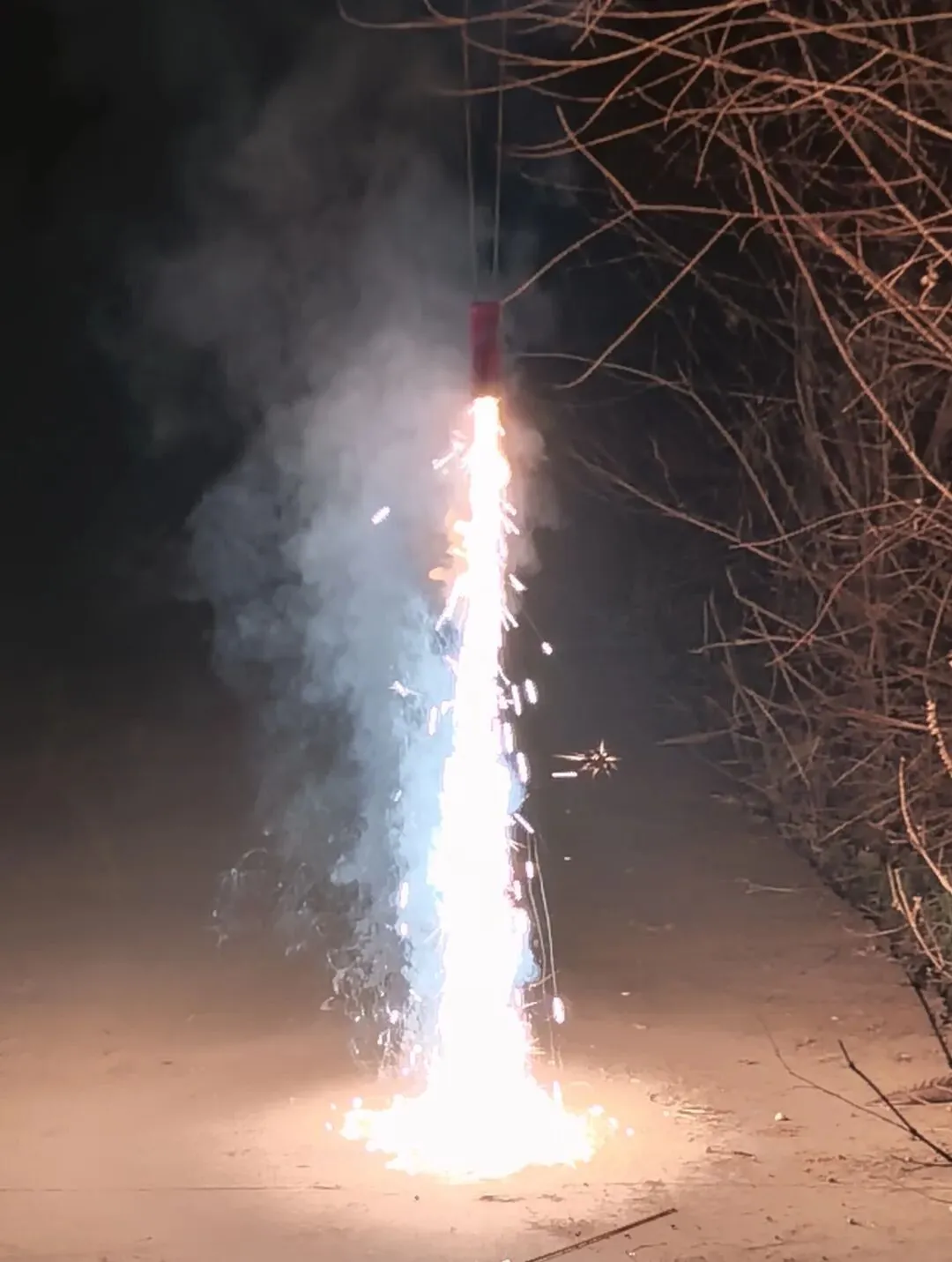 春节团圆or反向旅游,你选哪个?