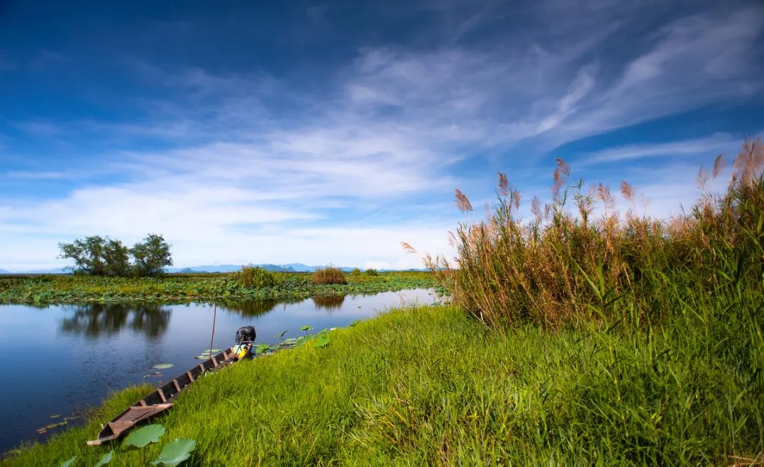 双鸭山宝清县必去十大旅游景点,界江湿地全在这里!