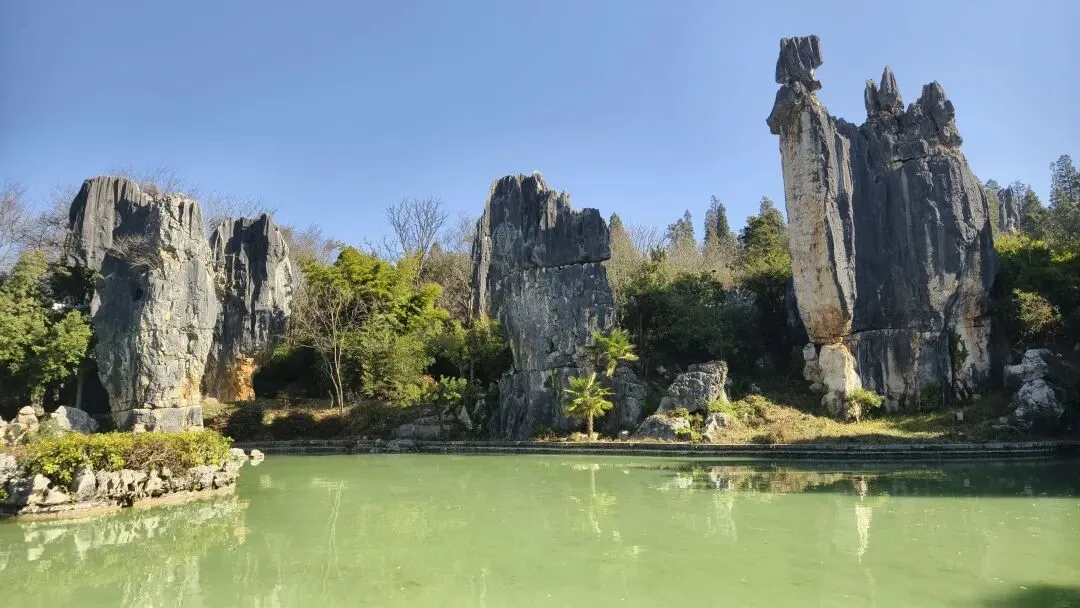 云南旅游避坑指南