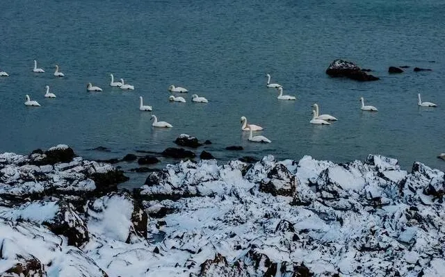 过年去哪儿玩?这9个人少好玩的宝藏旅游地,有不一样的年味儿