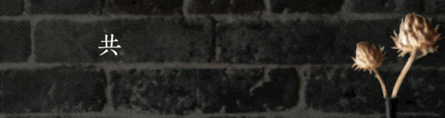 过年别挤景区了!住进广州这座700年古村,枕着星空治愈一整年的疲惫